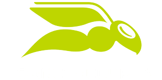 hornet_security